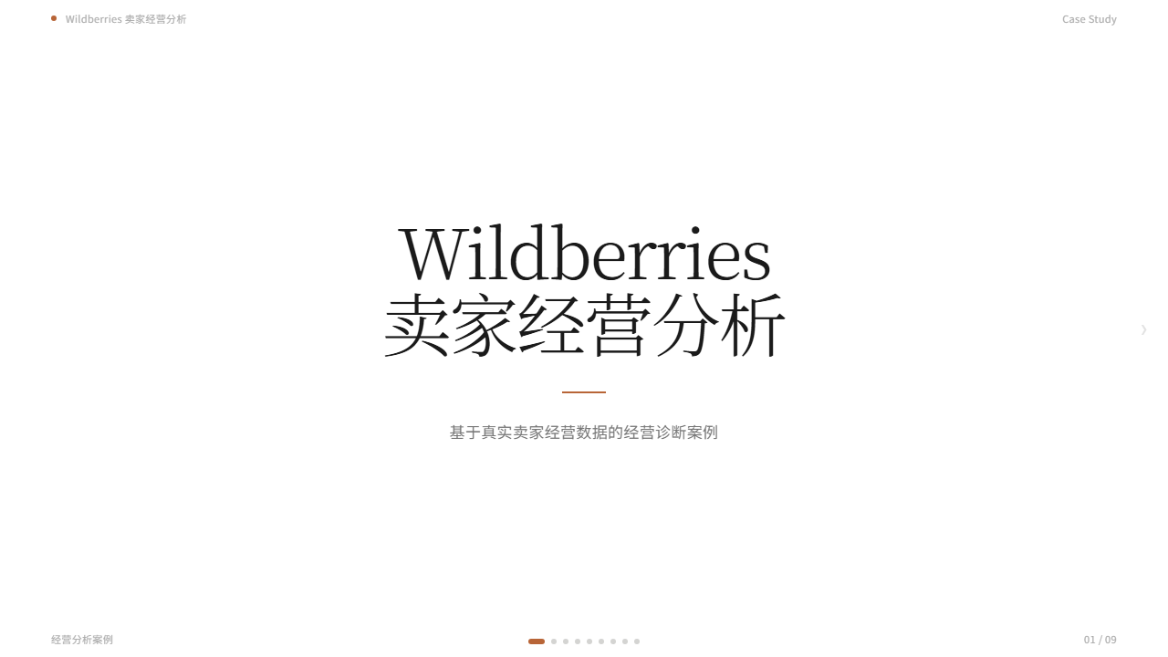 Wildberries卖家经营分析